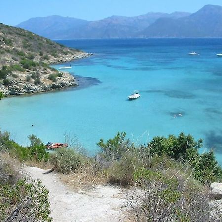 Studio Centre Ville Saint-Florent A 100M De La Mer Kültér fotó
