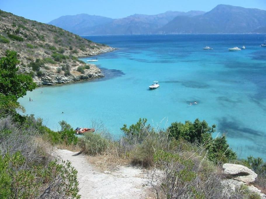 Studio Centre Ville Saint-Florent A 100M De La Mer Kültér fotó